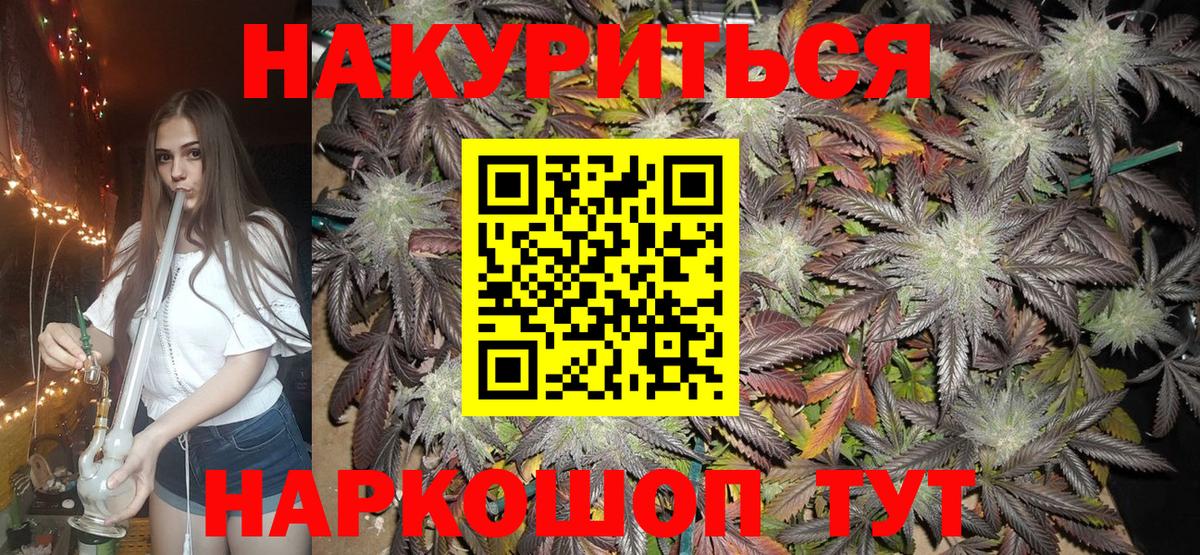 Бошки марихуана конопля  Вход с VPN  Каннабис план  МАРИХУАНА план  Шишки марихуана планчик  Острогожск 
